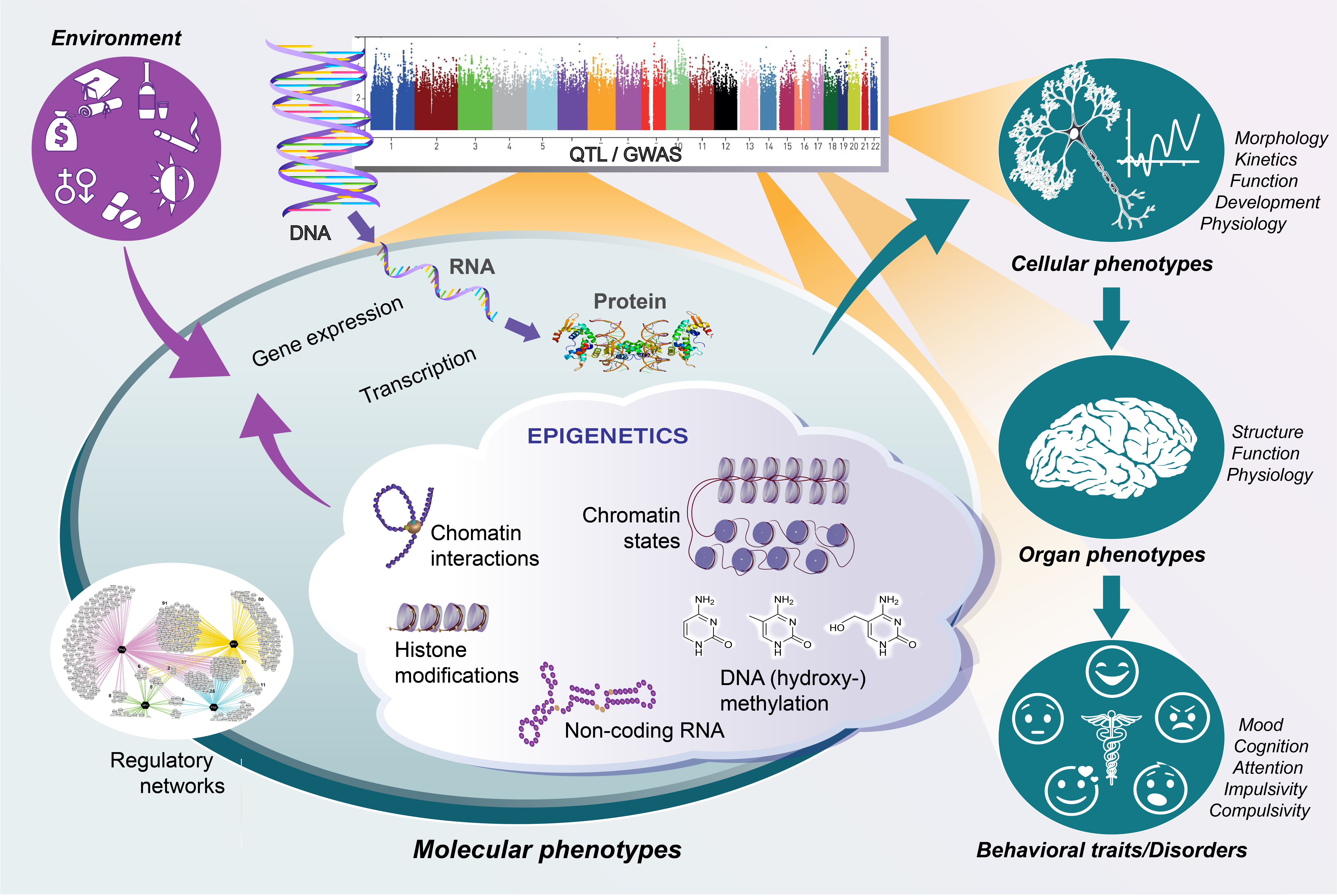 Psychiatric Genetics, Epigenetics and Cellular Models
